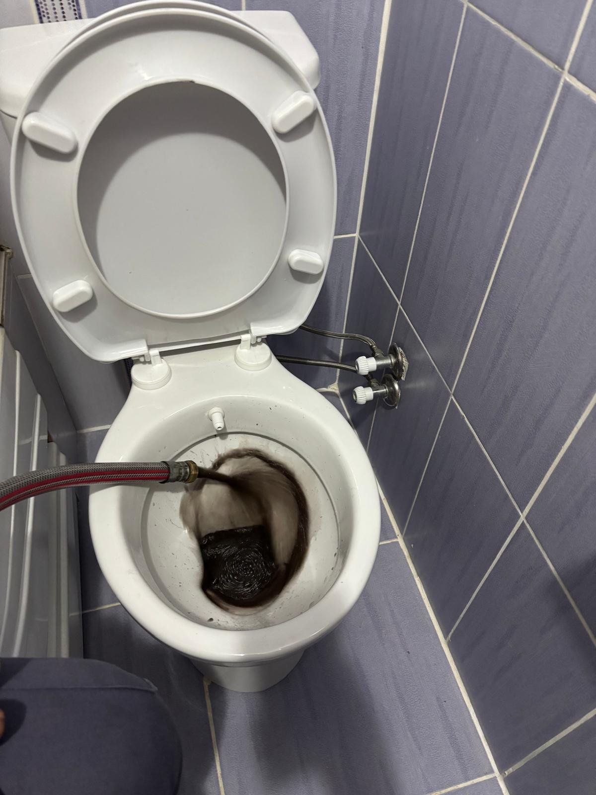 Fatih Petek Temizleme Hizmeti